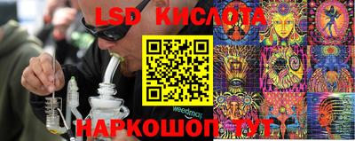 мяу мяу кристалл Тара