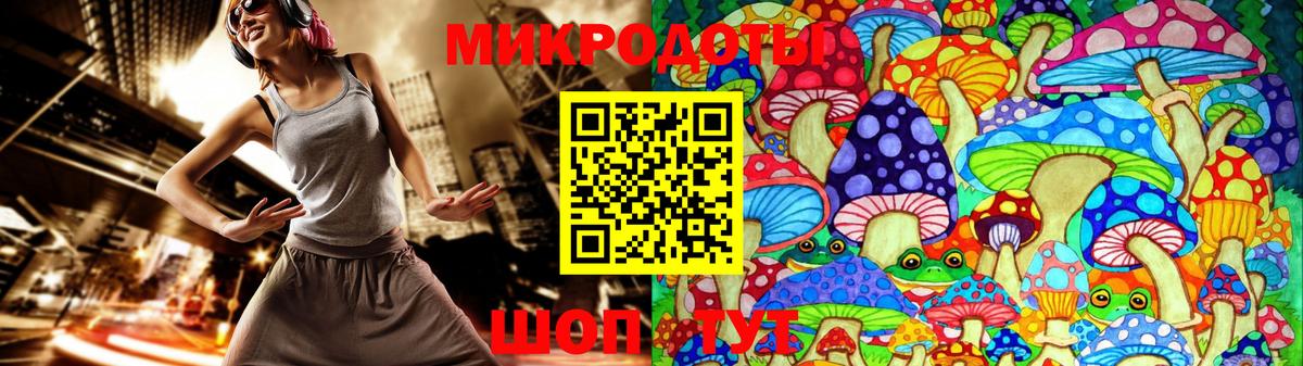 Советская Гавань  Псилоцибиновые грибы Psilocybe  Вход с VPN 